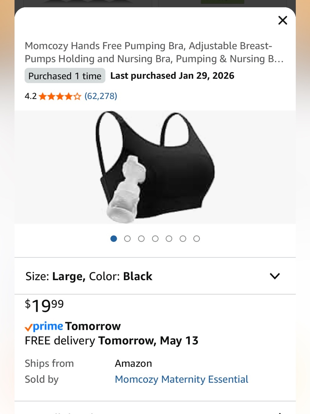 Hands-Free Pumping & Nursing Bra - Black